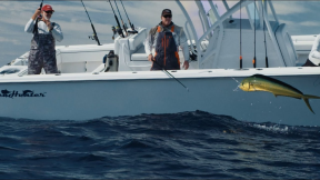 The SeaHunter - Offshore Fishing Key West