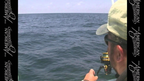 Mississippi Coast Deep Sea Fishing