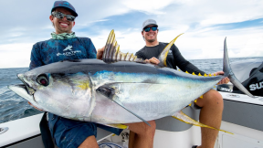 Monster Yellowfin Tuna!!