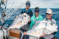 GIANT African Pompano & Sailfish -