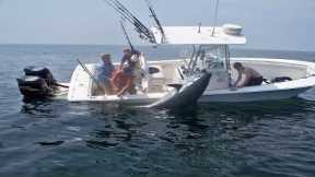 Amazing Big Tuna Fishing Skill On The Sea , Extreme Saltwater Fishing