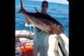 Tournament Bluewater 1900 tuna fishing