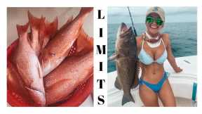 Offshore Fishing in Panama City!